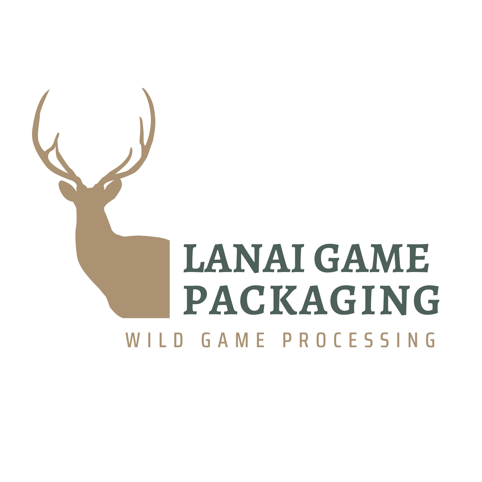 Lanai Game Packaging